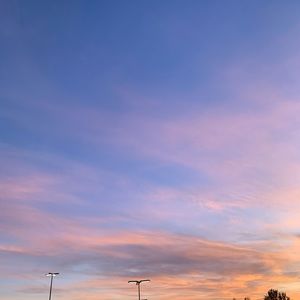 Meet your Posher, Cecilia